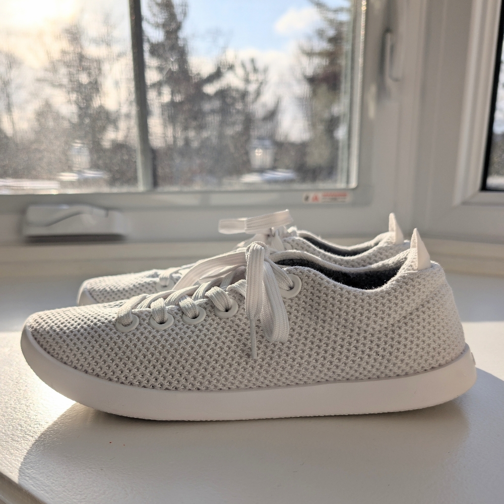 Allbirds Tree Pipers